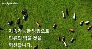심플리케어바이오, 프리 시리즈A 15억 투자유치...가축면역 활성화 기술... - 뉴스 썸네일 이미지